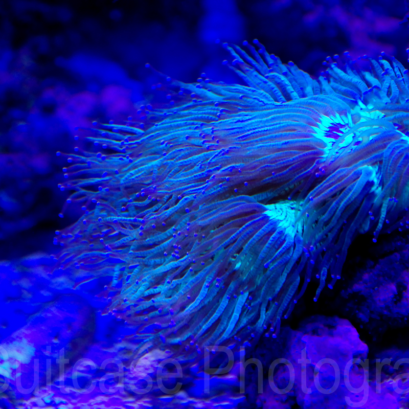 Jamala Wildlife Lodge, Canberra, Australia